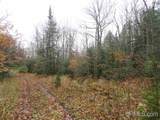 320 Acre Off Co Rd 510 - Photo 23