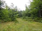 320 Acre Off Co Rd 510 - Photo 4