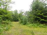 320 Acre Off Co Rd 510 - Photo 5