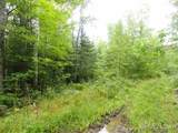 320 Acre Off Co Rd 510 - Photo 6
