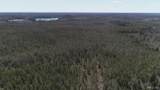 252 Acres Helen Lake - Photo 10