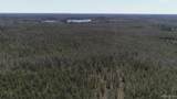 252 Acres Helen Lake - Photo 11