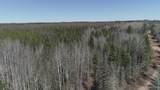 252 Acres Helen Lake - Photo 2
