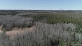 252 Acres Helen Lake - Photo 3
