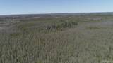 252 Acres Helen Lake - Photo 4