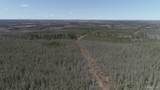252 Acres Helen Lake - Photo 5