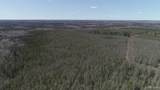 252 Acres Helen Lake - Photo 6
