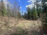480 Acres Off Cr Aaa - Photo 11