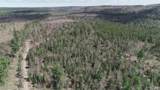 480 Acres Off Cr Aaa - Photo 12