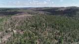 480 Acres Off Cr Aaa - Photo 13