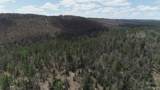 480 Acres Off Cr Aaa - Photo 15