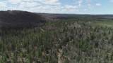 480 Acres Off Cr Aaa - Photo 16