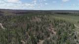 480 Acres Off Cr Aaa - Photo 17
