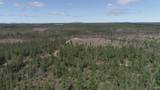 480 Acres Off Cr Aaa - Photo 19