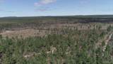480 Acres Off Cr Aaa - Photo 20