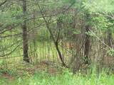 Lot 19 Huntington - Photo 2