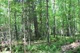 on Shingleton - Photo 16