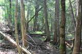 on Shingleton - Photo 20