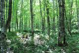 on Shingleton - Photo 8