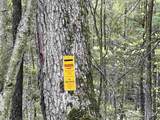 0000 County Road 577 - Photo 16