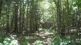 000 Near Big Bay - Photo 12