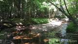 000 Near Big Bay - Photo 5