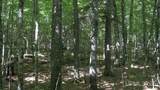000 Near Big Bay - Photo 7