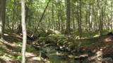 000 Near Big Bay - Photo 8