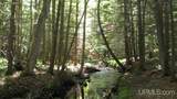 000 Near Big Bay - Photo 9