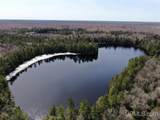 0000 Near Old Seney - Photo 1