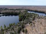 0000 Near Old Seney - Photo 8