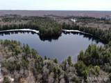 0000 Near Old Seney - Photo 11