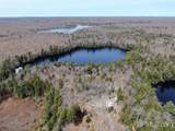 0000 Near Old Seney - Photo 16