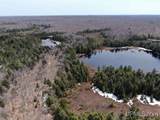 0000 Near Old Seney - Photo 17