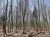 0000 Near Old Seney - Photo 22