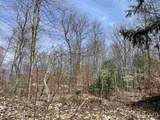 0000 Near Old Seney - Photo 31