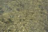 on Summer - Photo 21