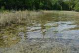 on Summer - Photo 22