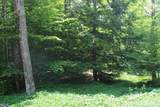 on Shingleton - Photo 12