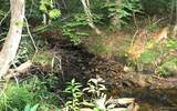 on Shingleton - Photo 5