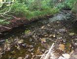 on Shingleton - Photo 7
