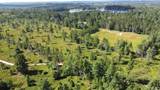 on Bertrand Lake - Photo 1