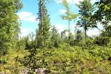 on Bertrand Lake - Photo 14