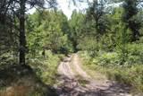 on Bertrand Lake - Photo 16