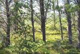 on Bertrand Lake - Photo 19