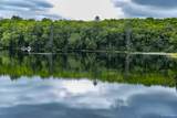 195 Homan Lake - Photo 74