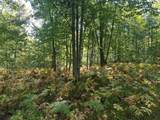300-31 Easement - Photo 2