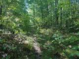 300-31 Easement - Photo 3