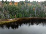 Parcel G Deer Lake - Photo 8