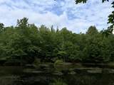 2854 Lakeshore - Photo 20